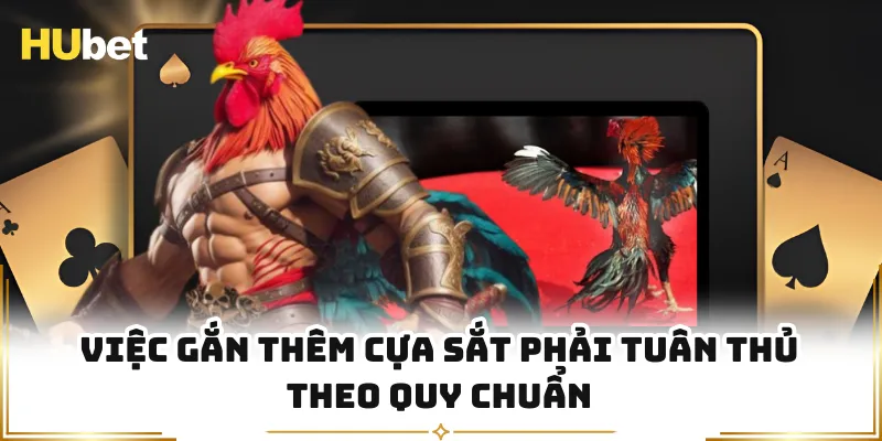 Việc gắn thêm cựa sắt phải tuân thủ theo quy chuẩn